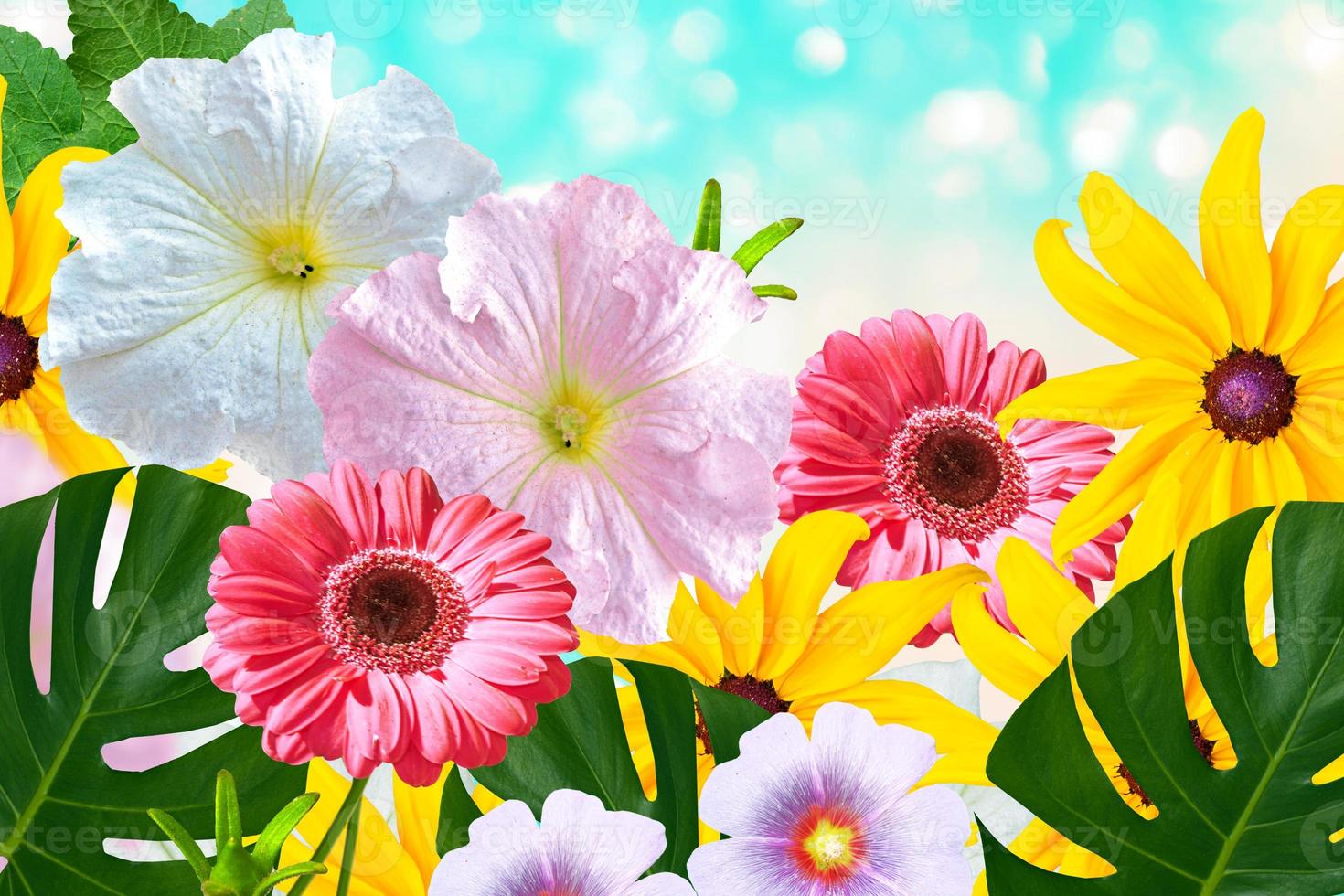fondo de flores naturales. flores brillantes y coloridas. 9898073 Foto de  stock en Vecteezy