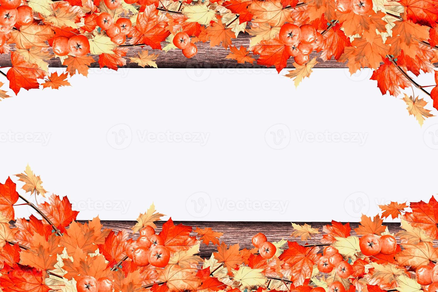 abstract background of autumn leaves photo