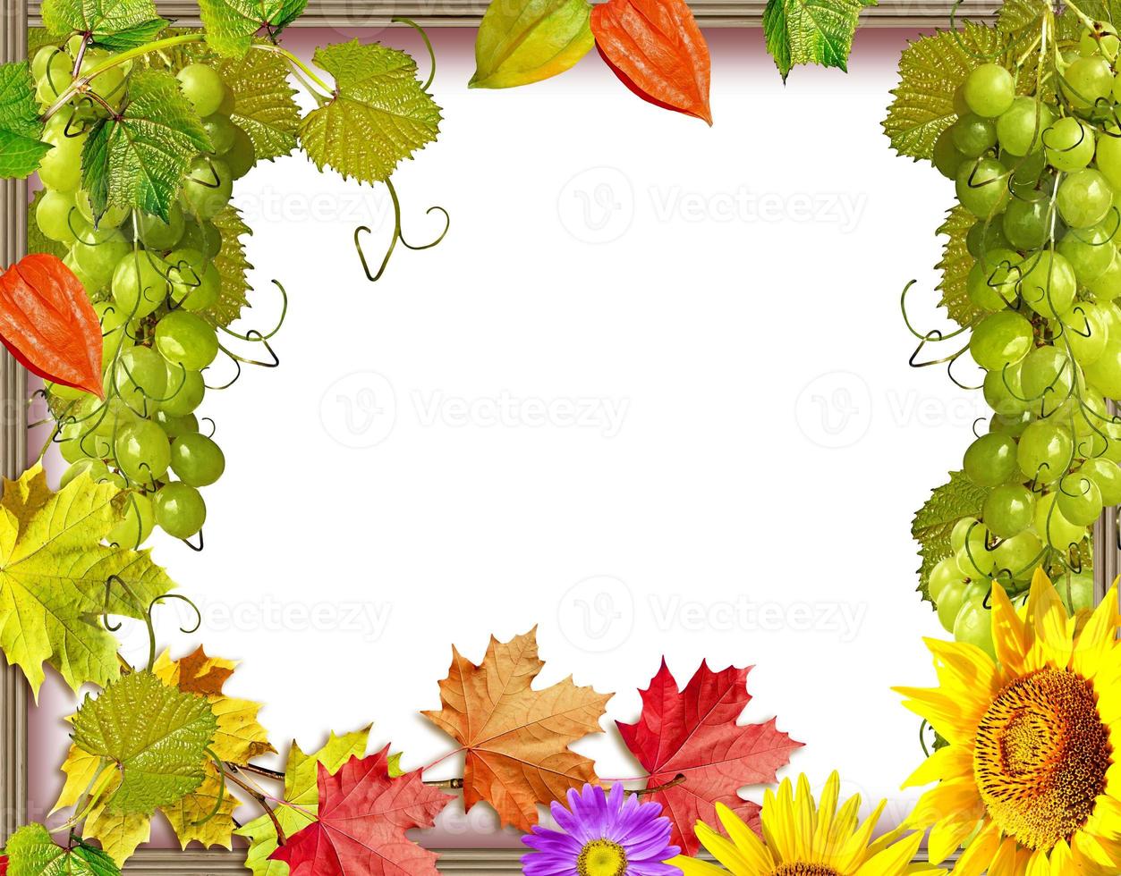 Frame of flowers and foliage photo