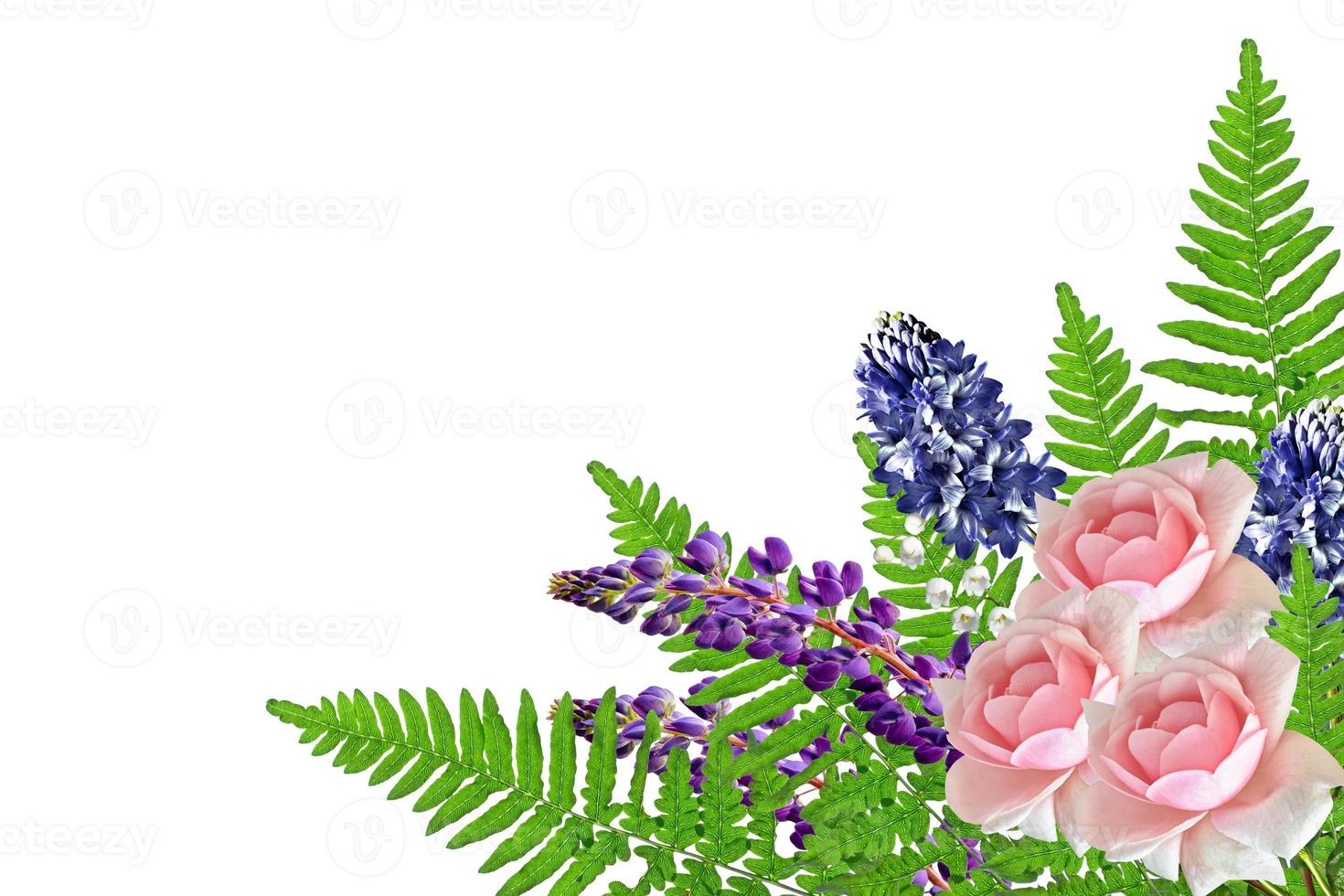 Colorful and bright flowers isolated on white background. photo