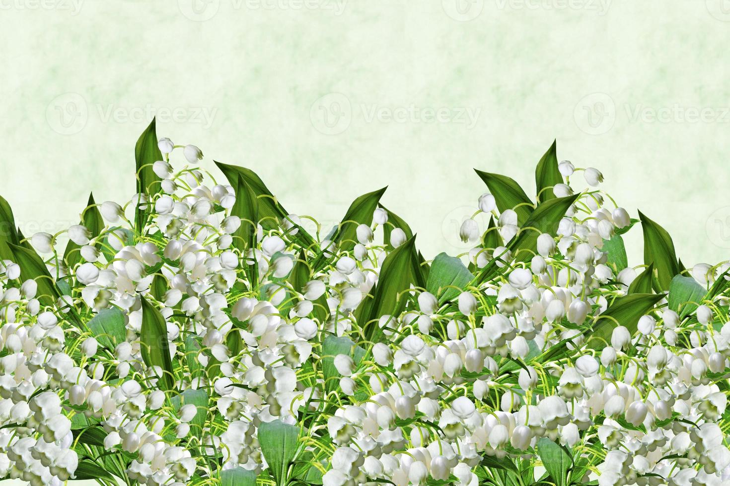Floral background. Flowers lilies of the valley photo