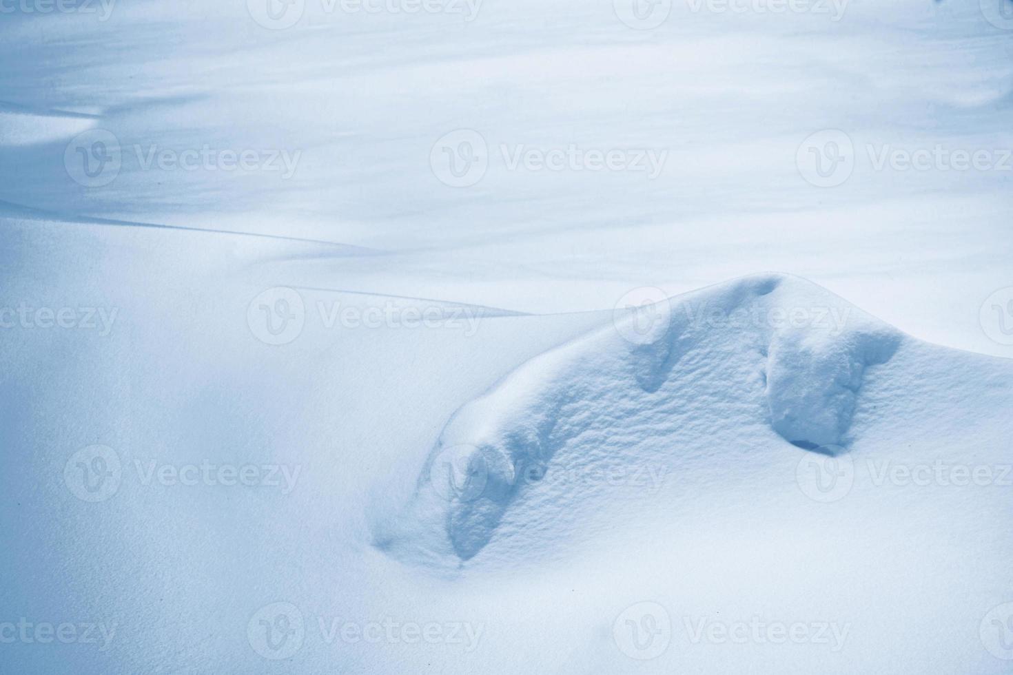 Background. Winter landscape. The texture of the snow photo