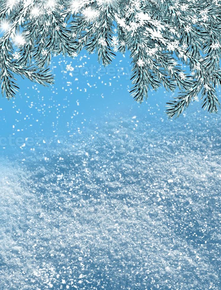 Winter landscape. Background. snow photo