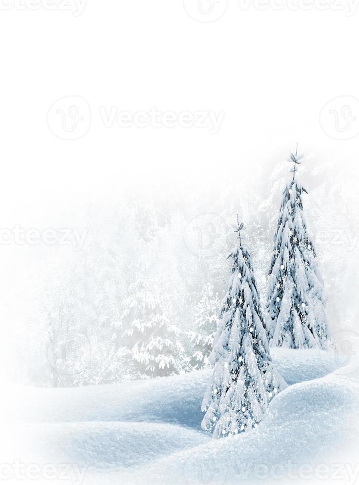 Christmas card. Winter landscape. photo
