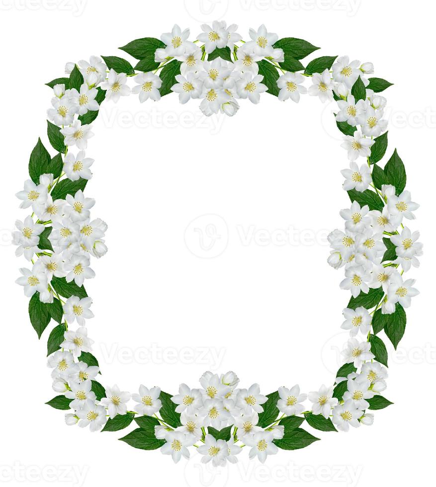 frame of jasmine flowers photo