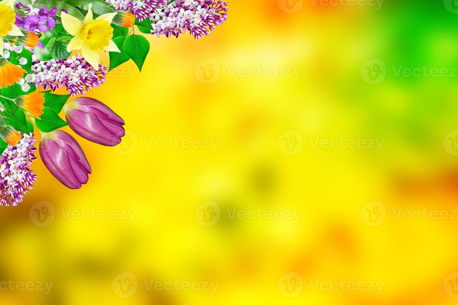 Bright and colorful flowers photo