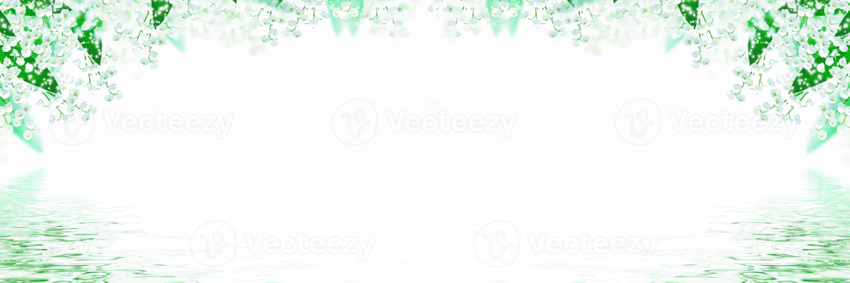 Lily of the valley flower on white background photo