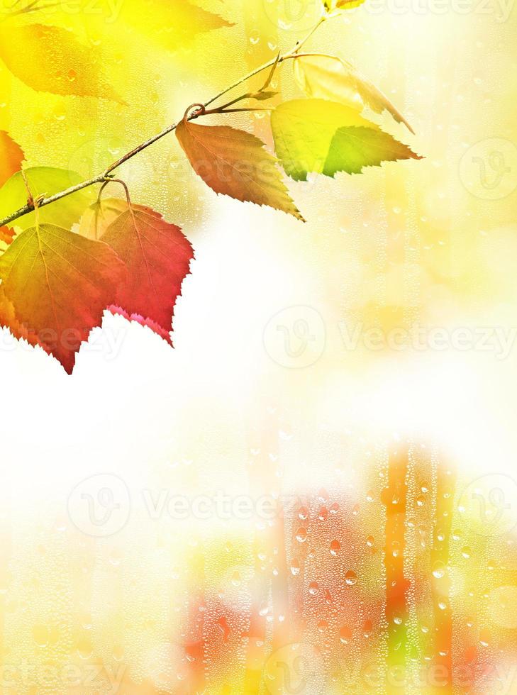 autumn landscape with bright colorful foliage. Indian summer. photo