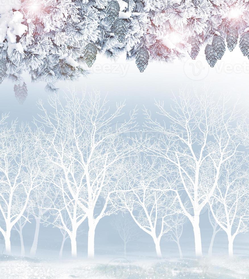 Winter landscape. winter snow. Christmas card. photo