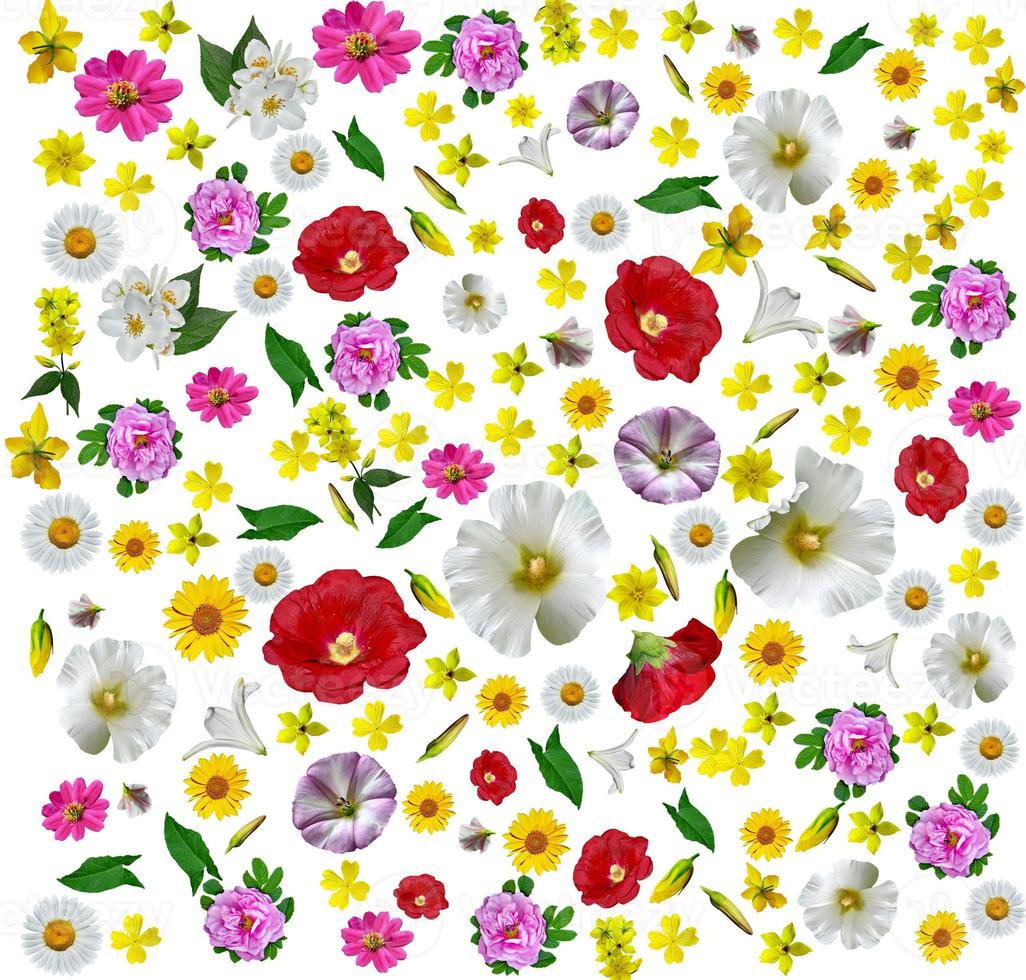 Abstract floral background photo