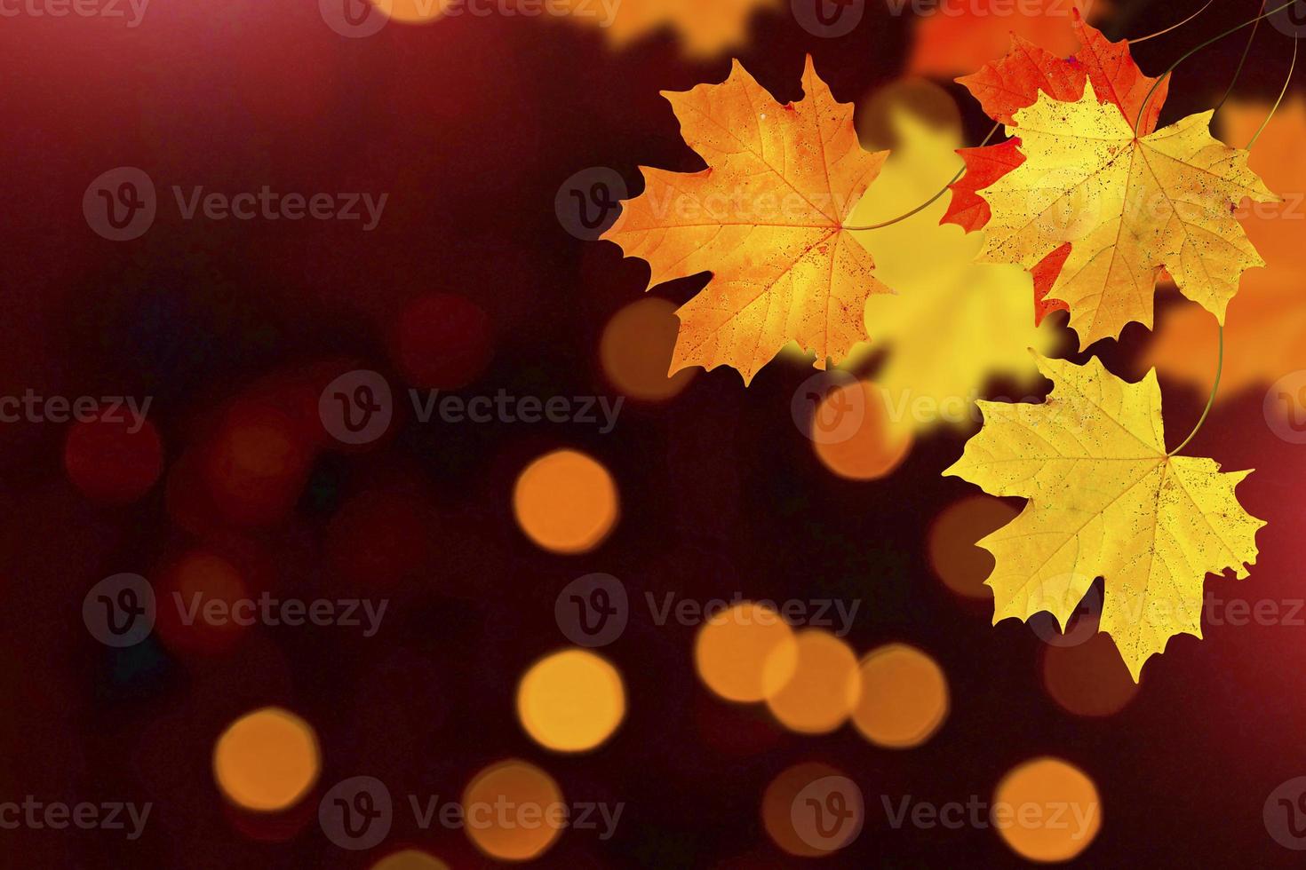 autumn landscape with bright colorful foliage. Indian summer. photo
