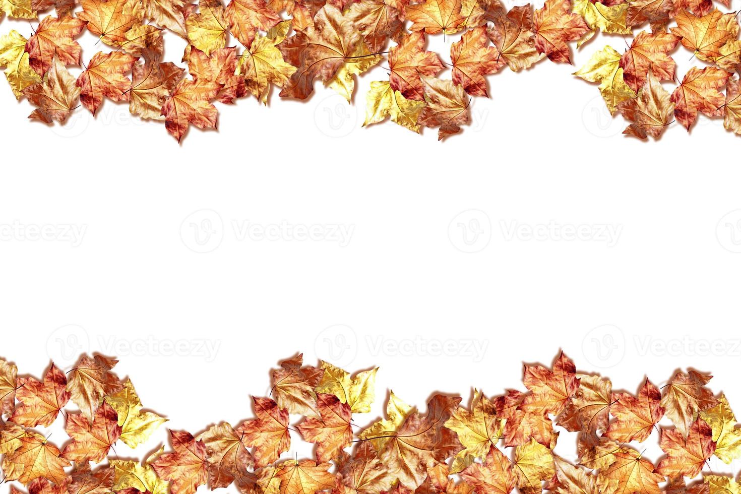 abstract background of autumn leaves photo