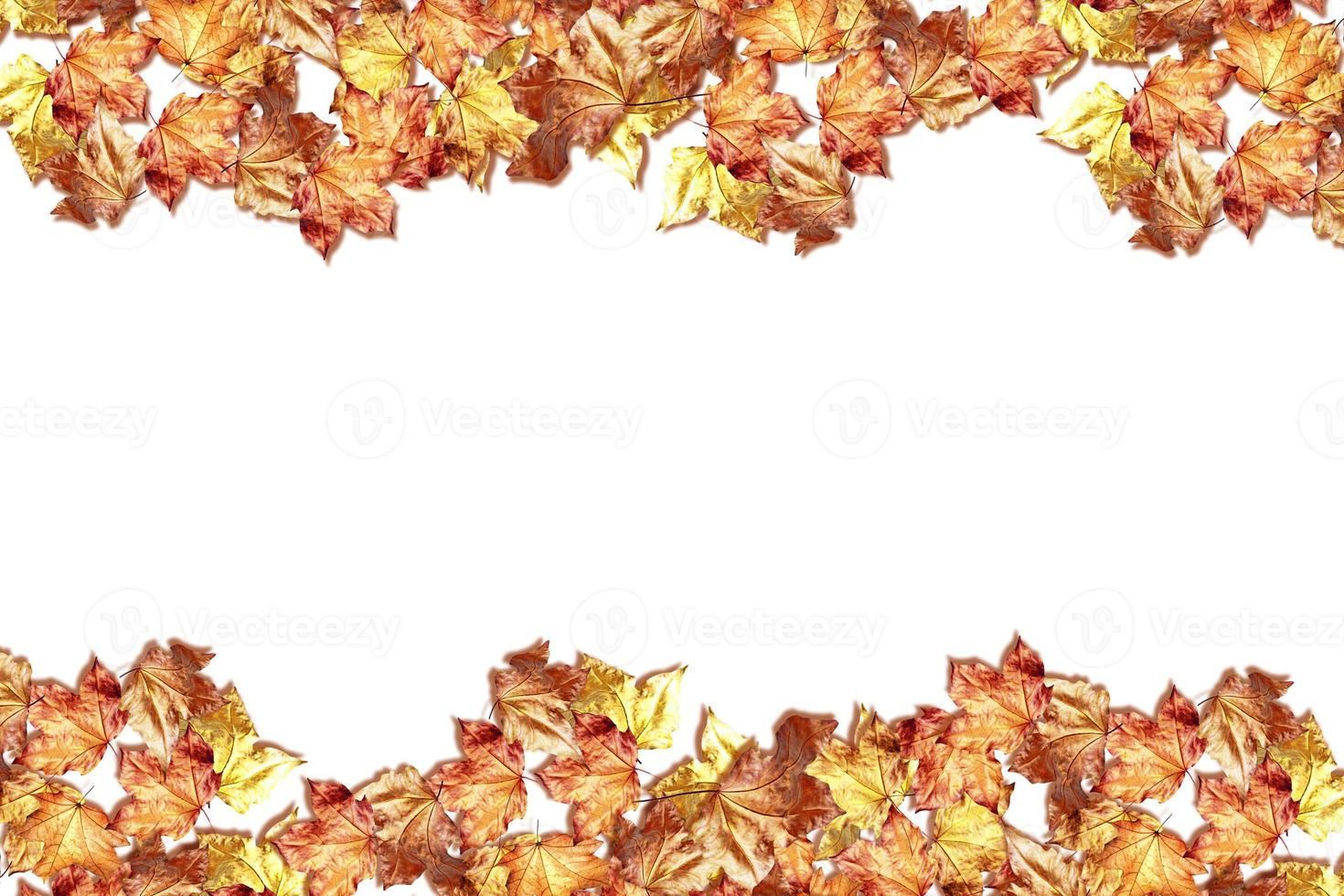 abstract background of autumn leaves photo