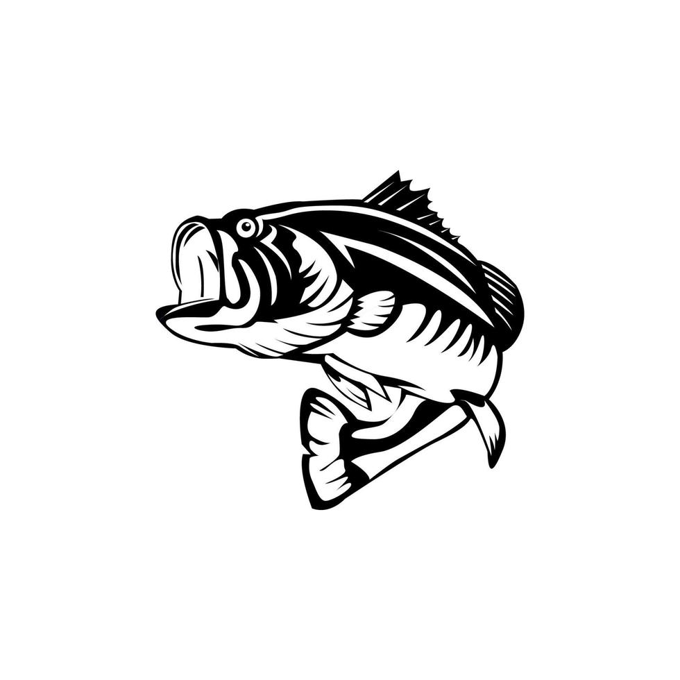 bass fish illustration design template vector