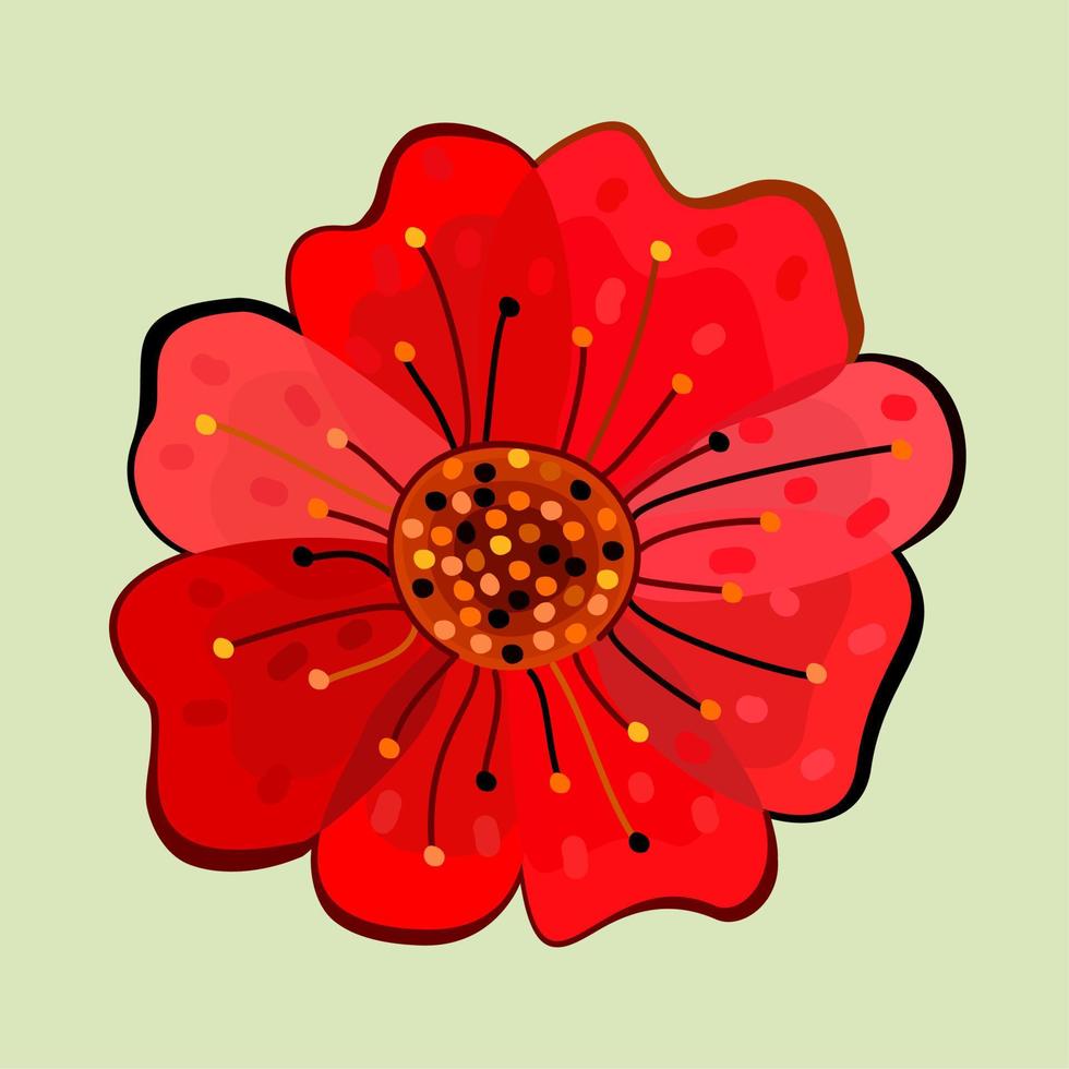 ilustración vectorial aislada de flor de amapola. vector