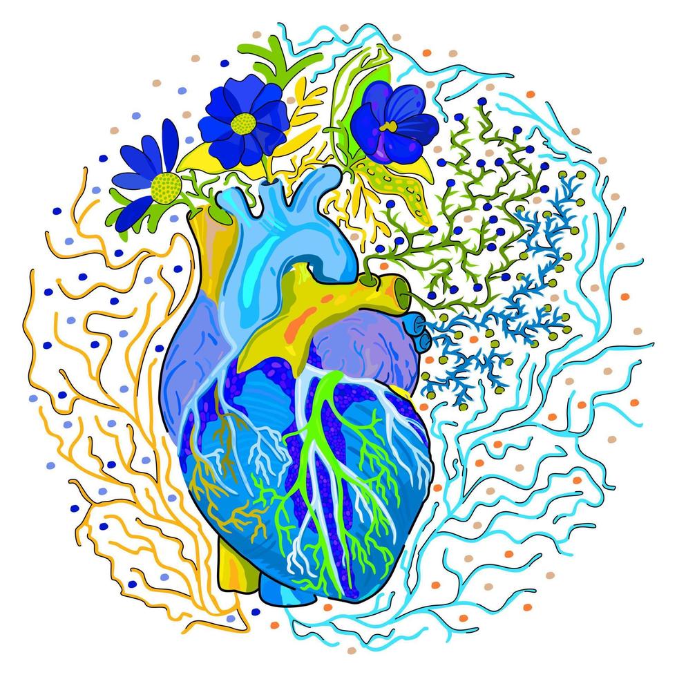 vector ilustración decorativa aislada del corazón anatómico con flores.