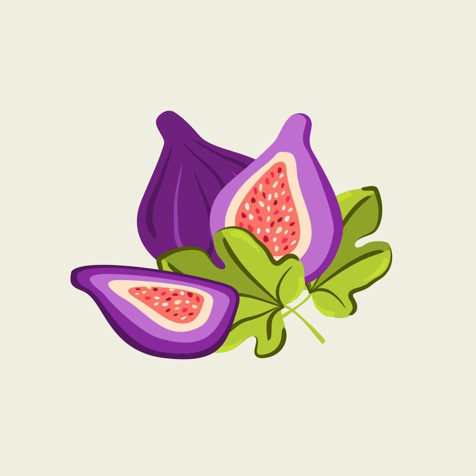 Vector illustration of figs on light beige background.