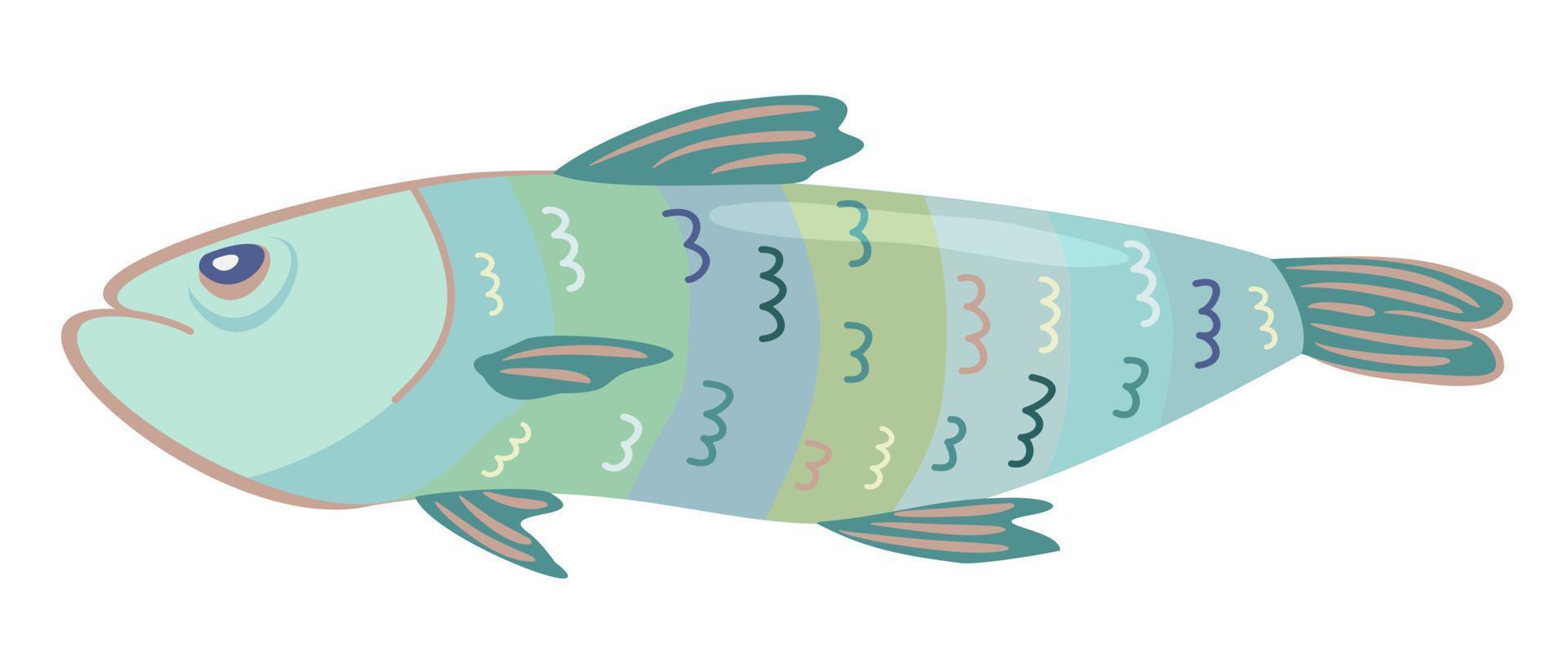 Vector isolated illustration of sprat.