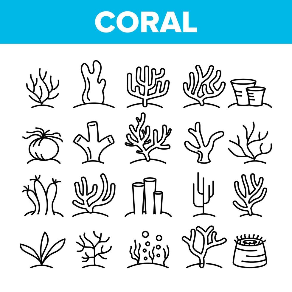 conjunto de iconos lineales de vectores de arrecifes de coral y algas marinas