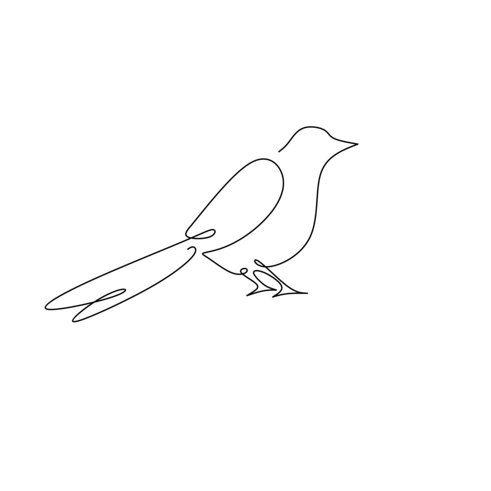 Abstract design line art magpie bird vector