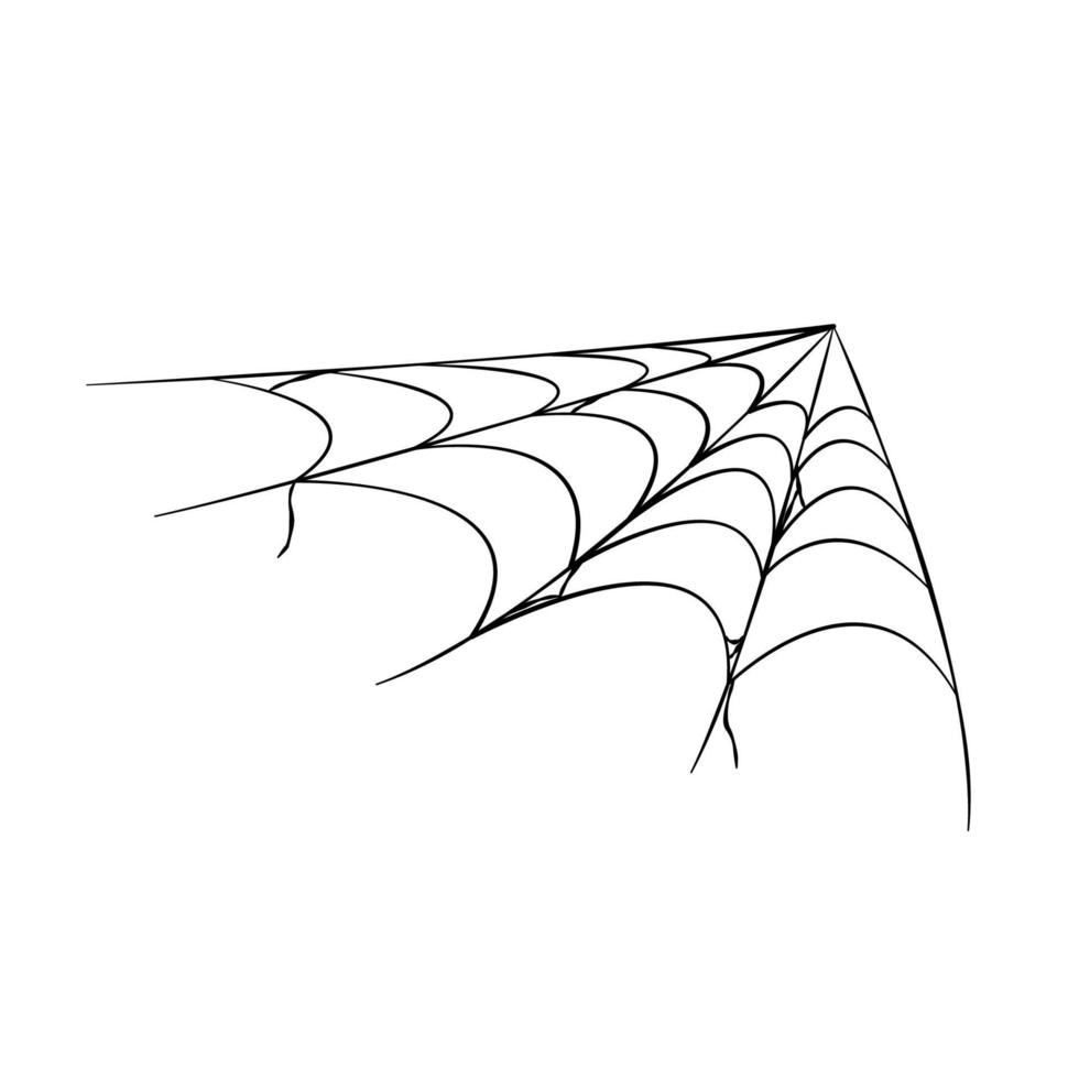Black halloween cobweb on white background. Vector illustration, clip art. Happy halloween. Line vector silhouette. Illustration for web design