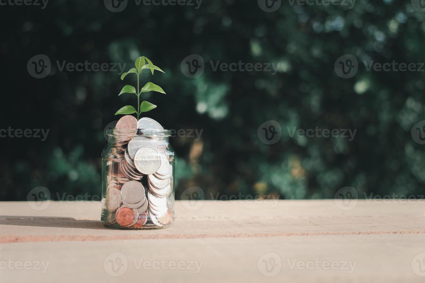 Plant growing in coin in glass jar placed on wooden floor and green blur background, money saving and investment idea. photo