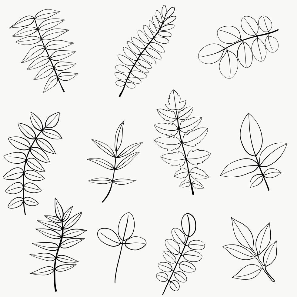 Simplicity floral freehand continuous line drawing flat design. vector