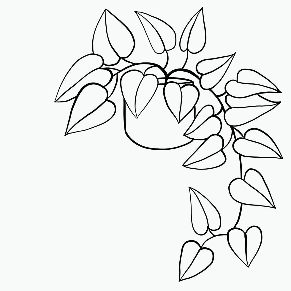 Simplicity ivy freehand drawing flat design. vector