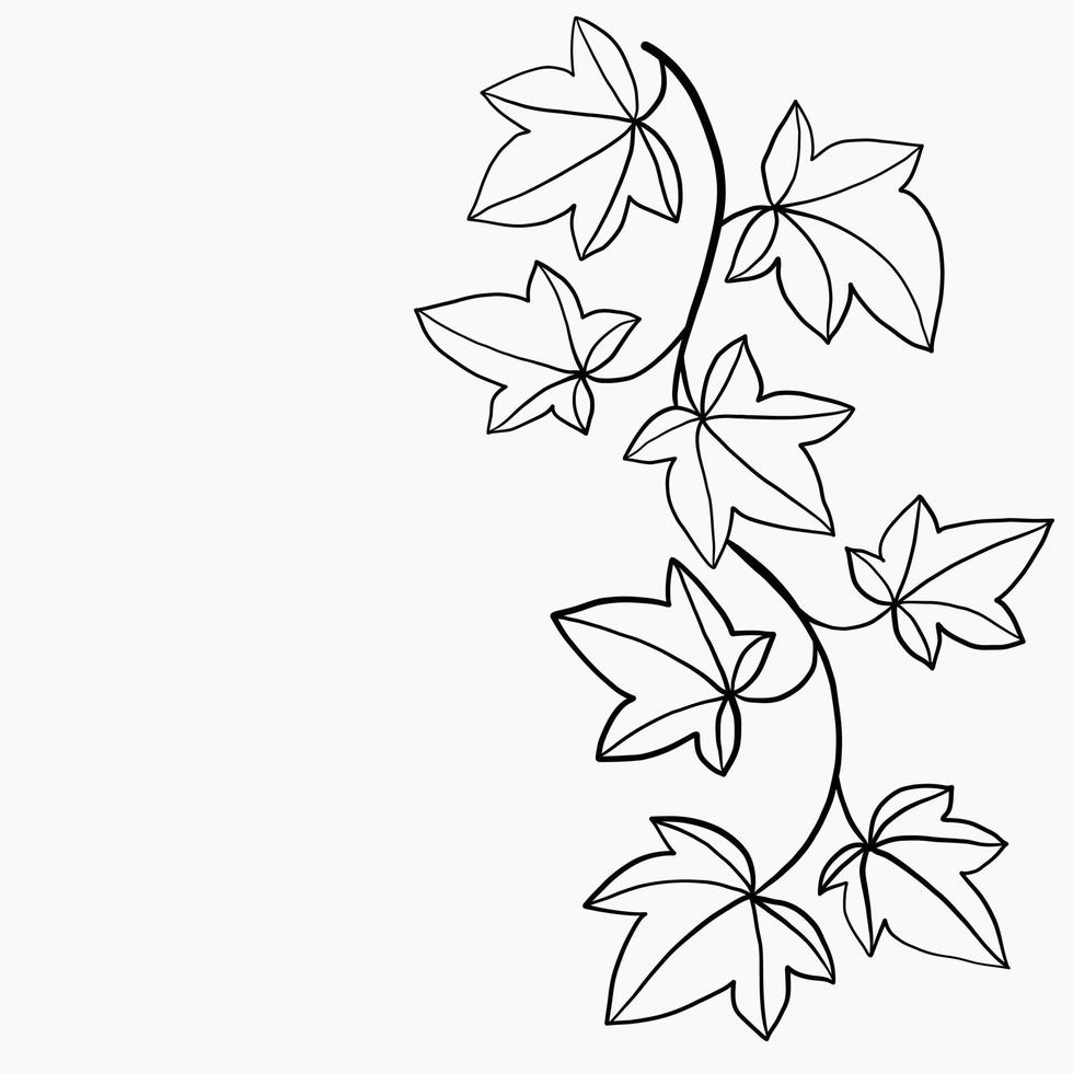 Simplicity ivy freehand drawing flat design. vector