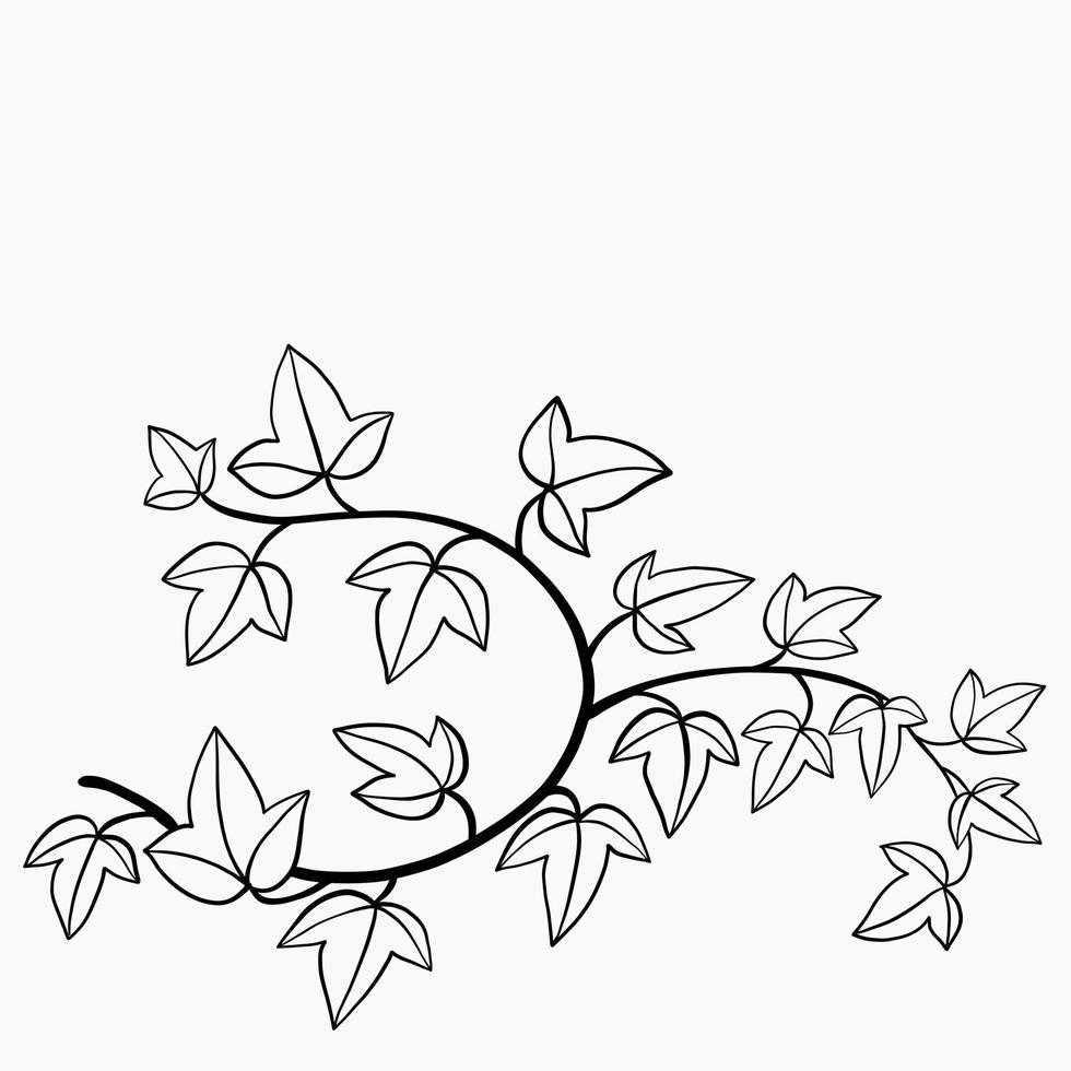 Simplicity ivy freehand drawing flat design. vector