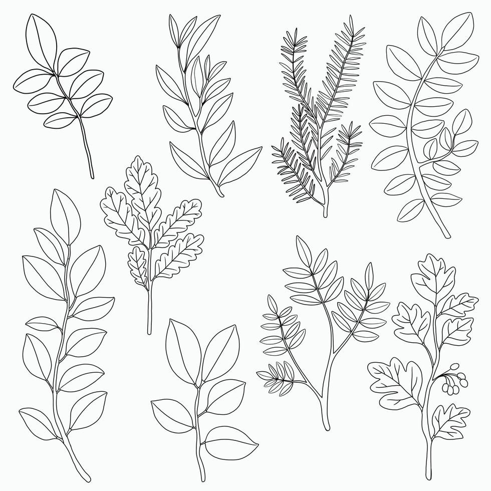 Simplicity floral freehand continuous line drawing flat design. vector