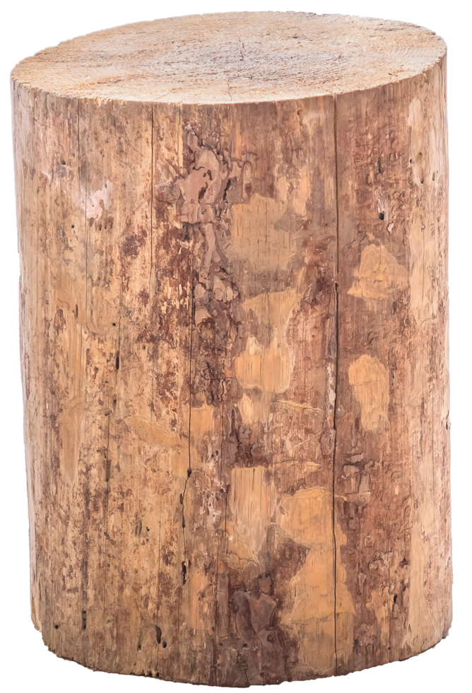 fondo trasparente del tronco di albero del ceppo di legno isolato. png