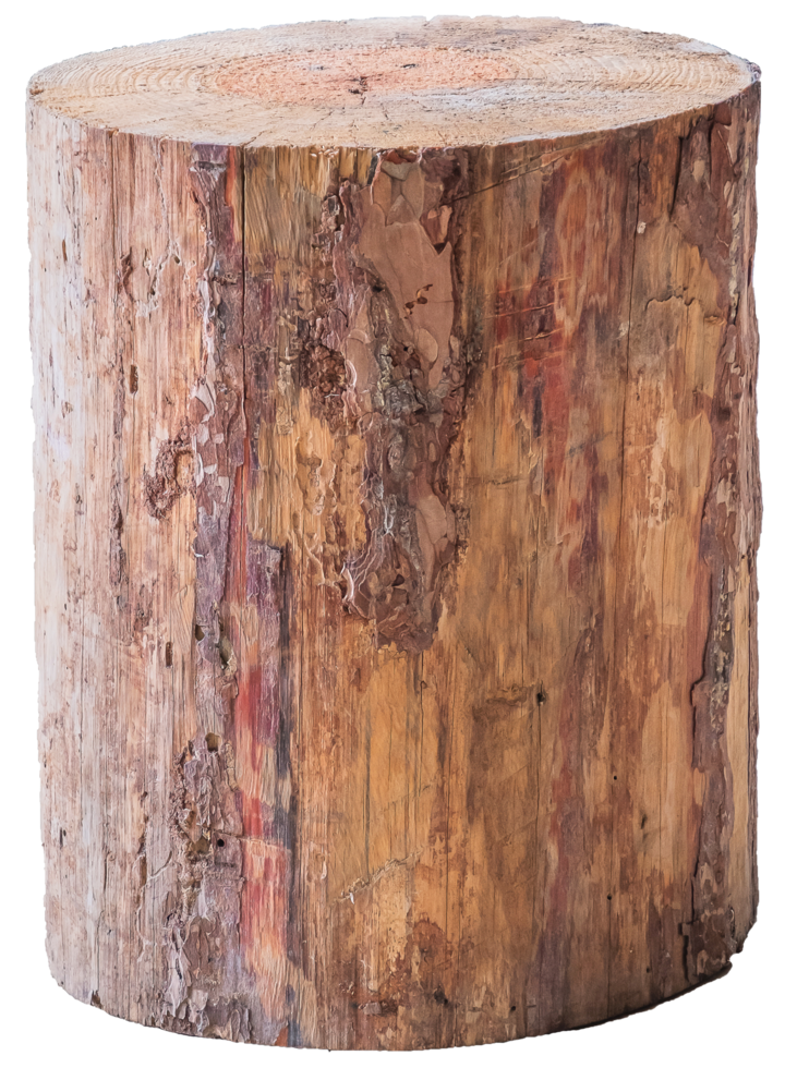 isolated wooden log tree trunk transparent background. png