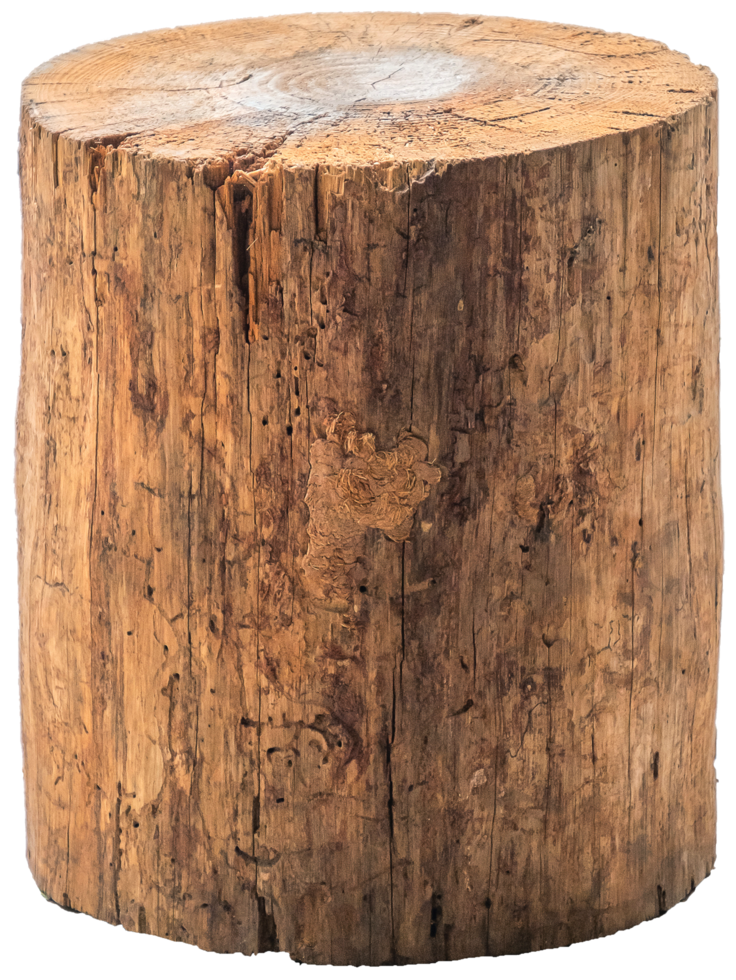 Tronco de madera aislado tronco de árbol fondo transparente. png