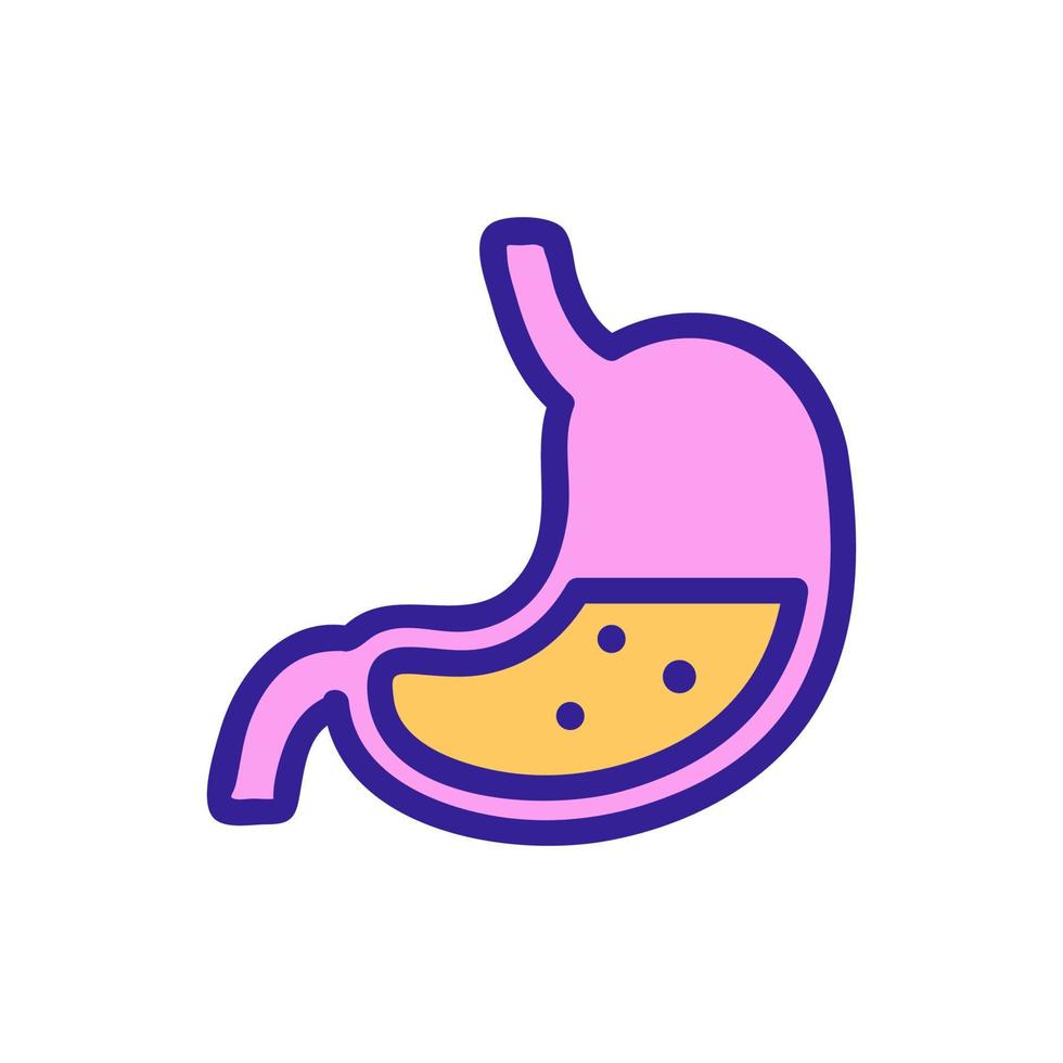 stomach icon vector. Isolated contour symbol illustration vector