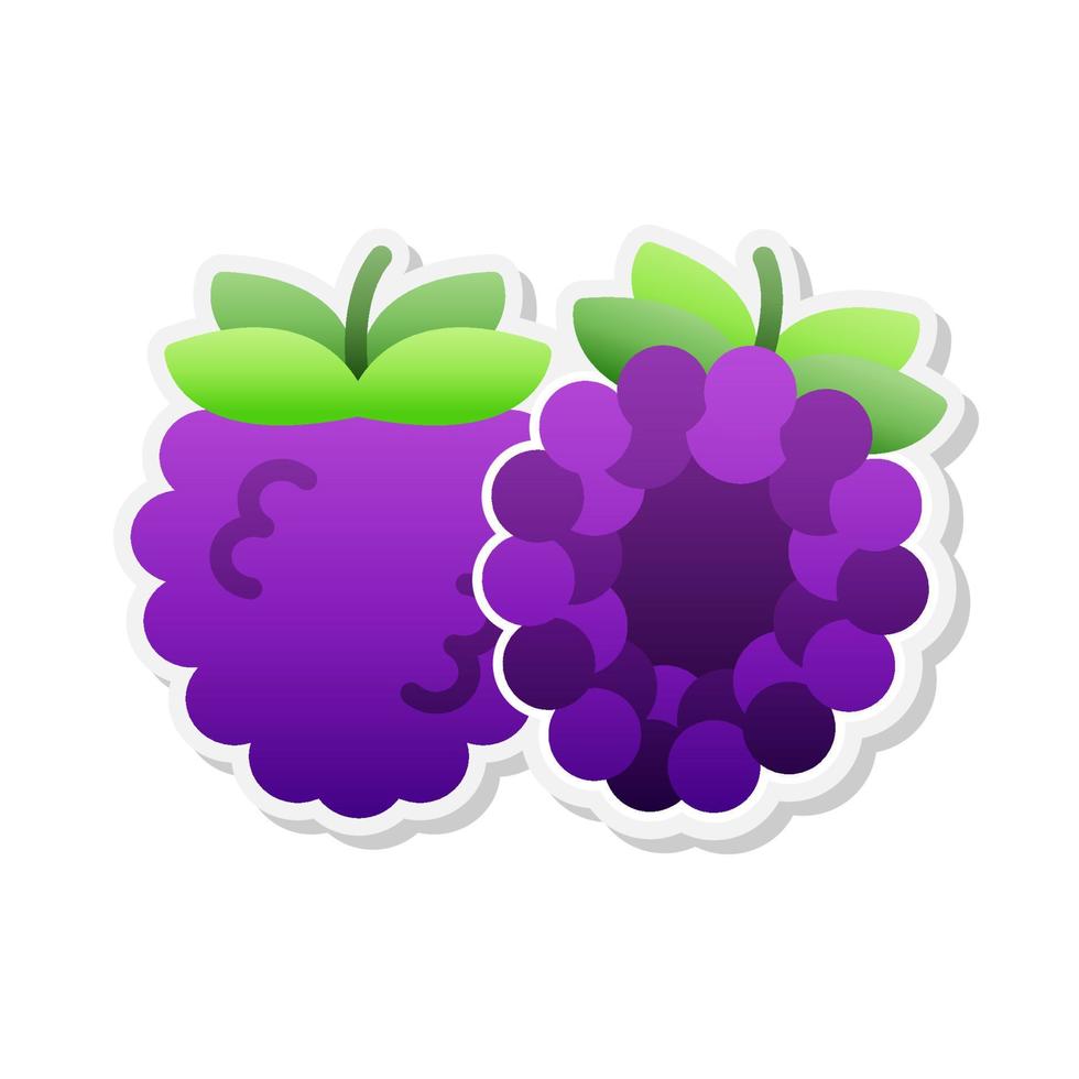 Blackberry sticker icon, Vector, Illustration. vector