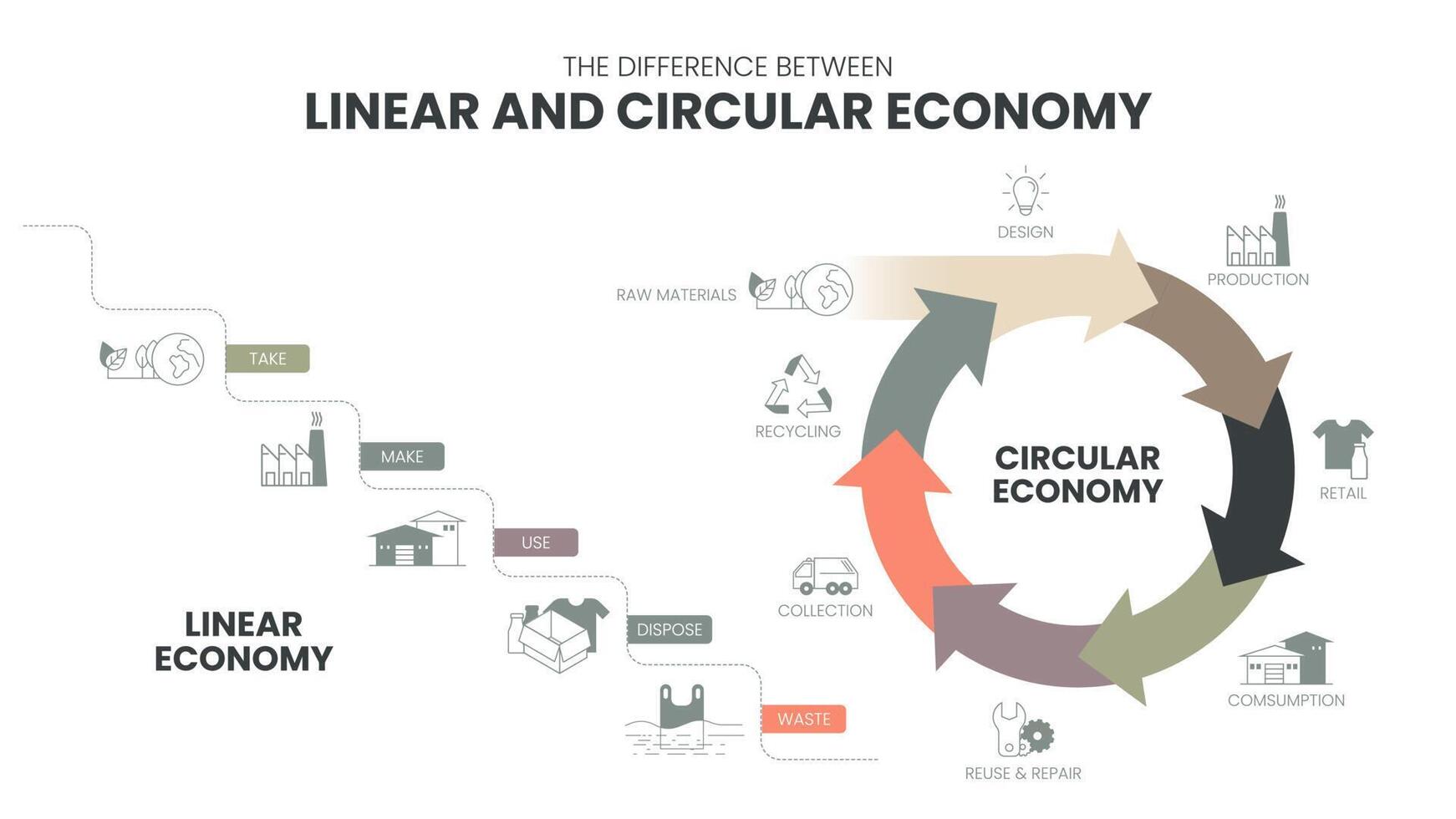 The vector infographic diagram of the difference between the circular economy and linear economy. Compare linear and circular infographics for presentations or banners for websites. Economy concepts.