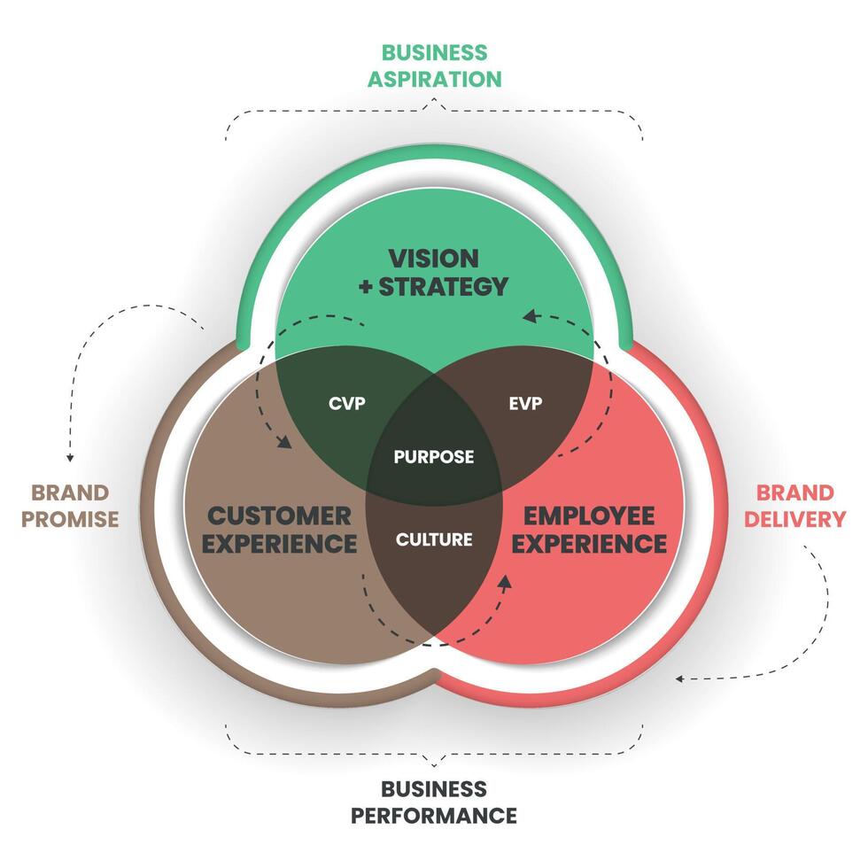 El diagrama de marca de empleador es una estrategia que toma su cultura, visión y propósito y crea una historia auténtica para mejorar la experiencia de los empleados en la organización. concepto de cultura y estrategia empresarial vector