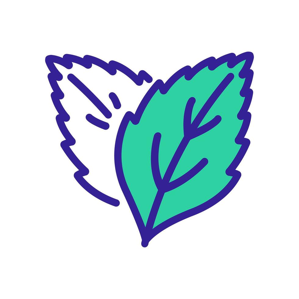 hierba planta hojas menta icono vector