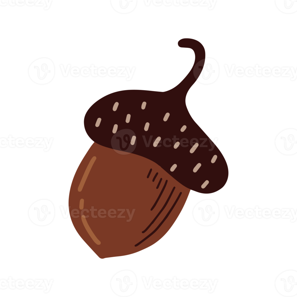 forest Hazelnuts illustration png