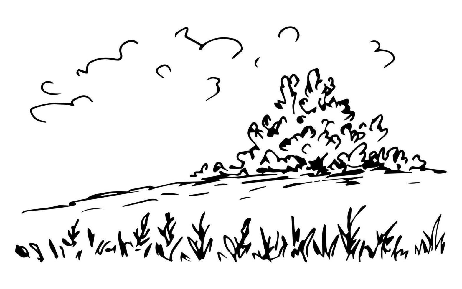 Simple ink vector drawing. Nature, landscape. Tree, bush on a hill, clouds, grass in the foreground. Countryside, suburb, leisure and tourism.