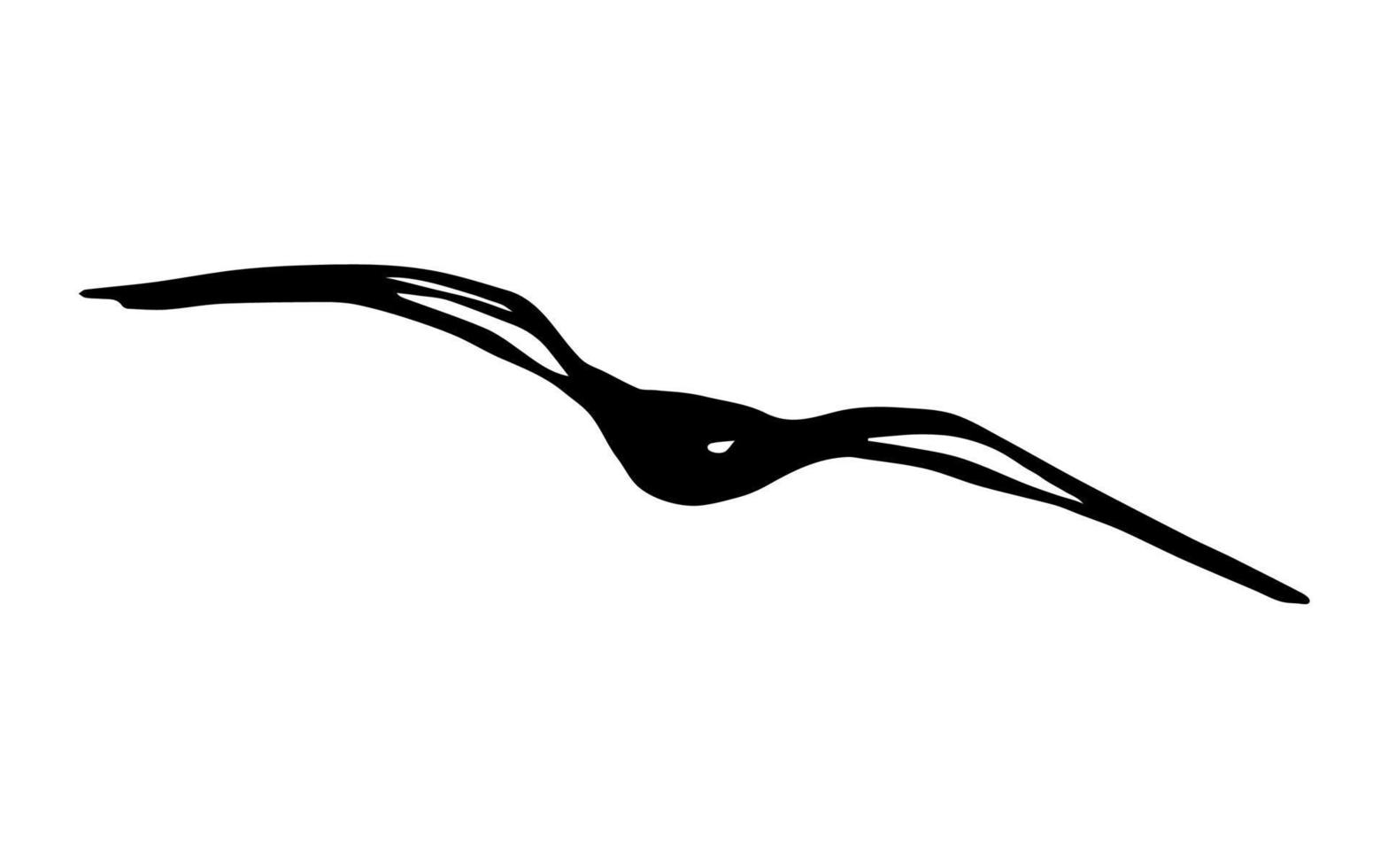 Hand-drawn simple vector illustration in black outline. Silhouette of a seagull soaring in the sky isolated on a white background. Flying bird. Nature, coast, ornithology.