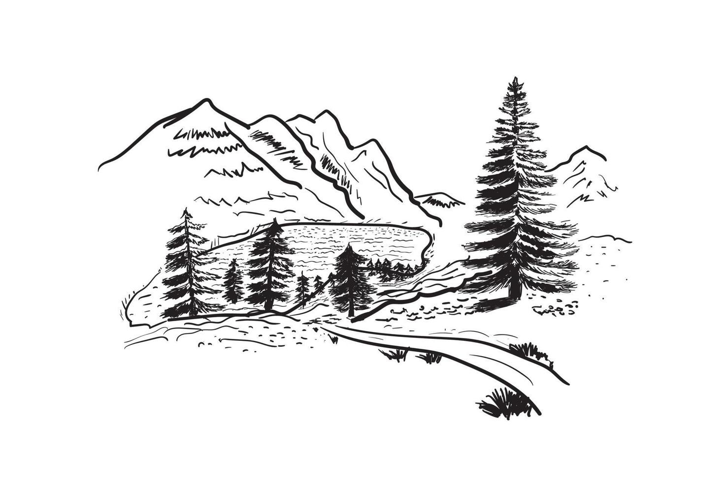 sketch of mountain lake and spruce outline vector