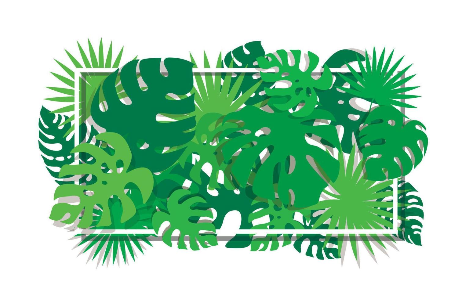 tropical leafs template background vector illustration