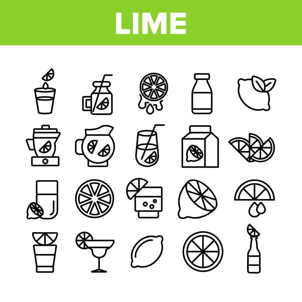 Lime Fruit Collection Elements Icons Set Vector