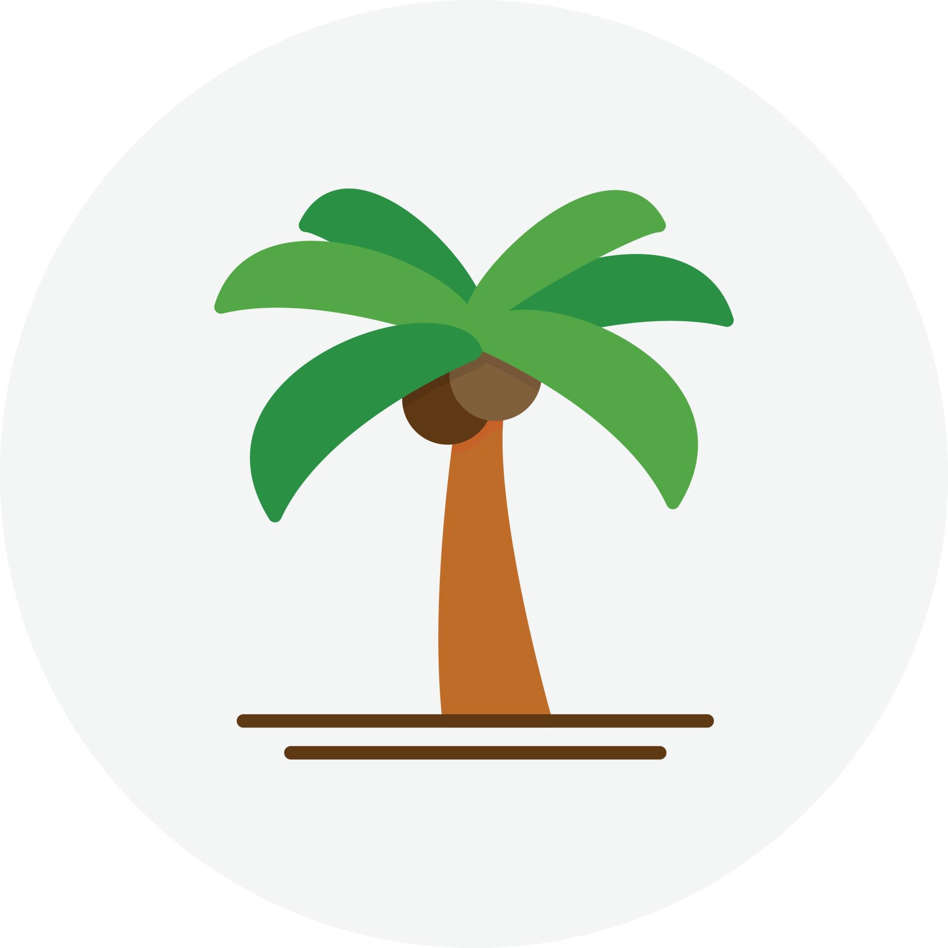 Palm Tree Flat Circle 9913222 Vector Art at Vecteezy