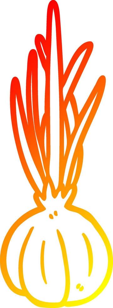 warm gradient line drawing garlic bulb vector