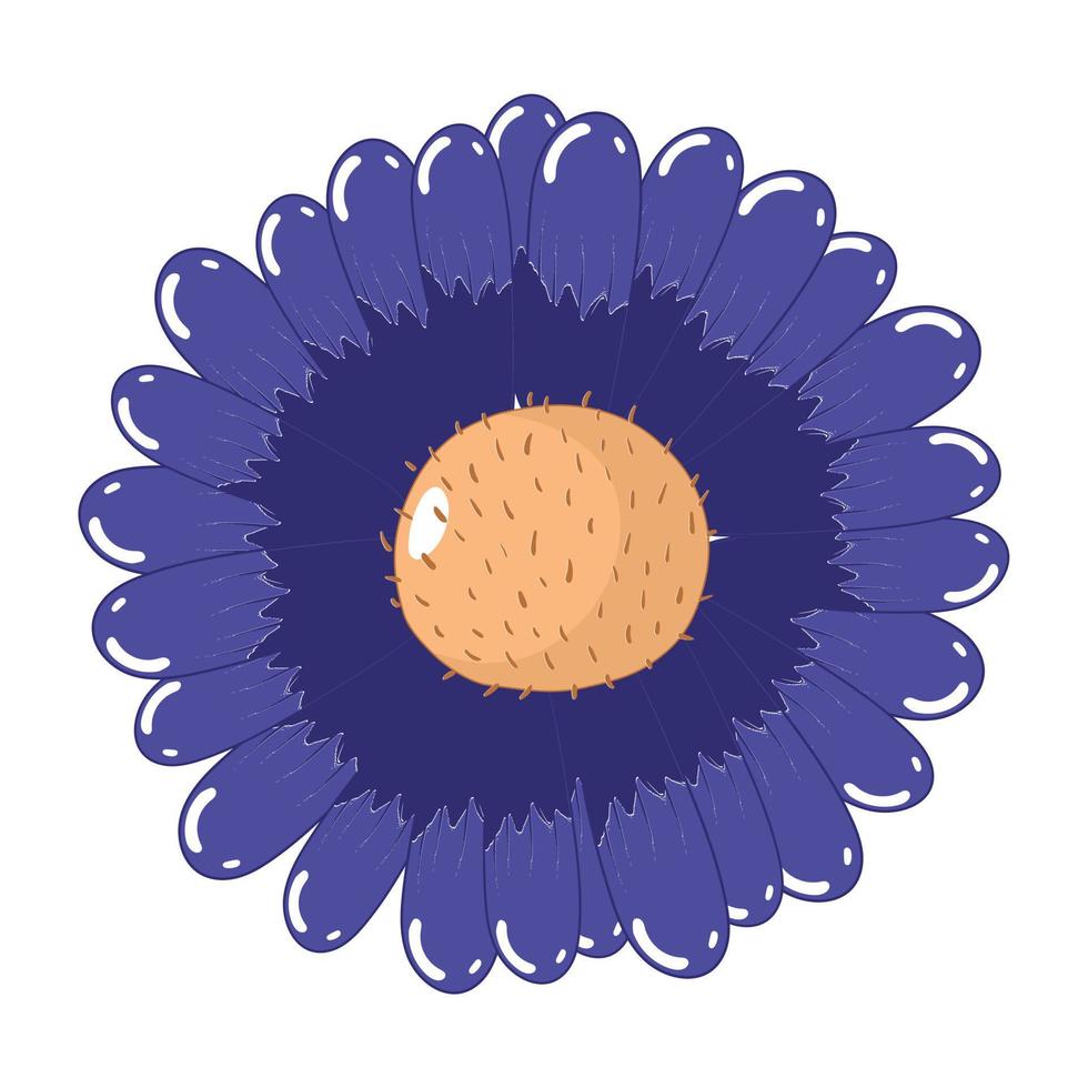 flor de manzanilla azul flor aislada sobre fondo blanco vector