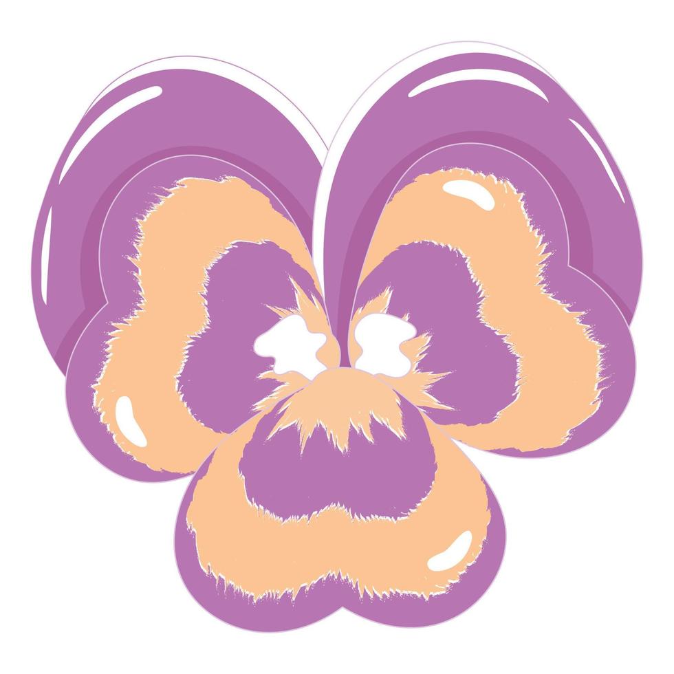 Simple purple pansy flower in flat style isolated on white background vector
