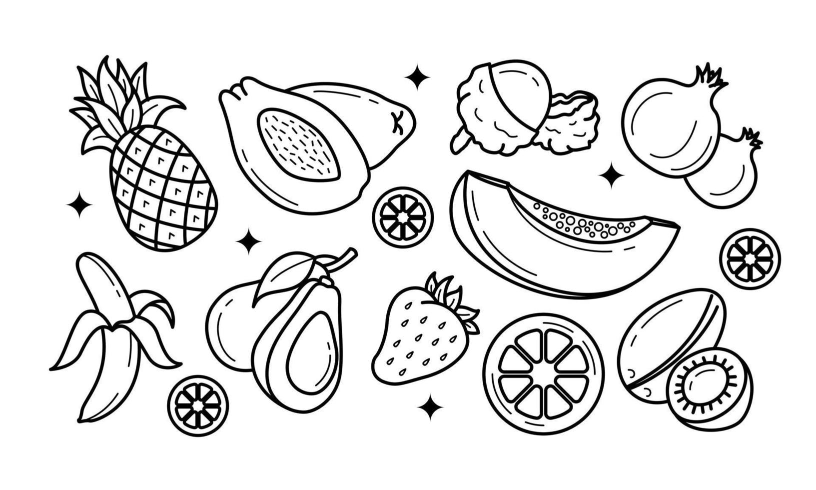 Doodle fruits. Natural tropical fruit, organic fruits or vegetarian food. Vector isolated icons